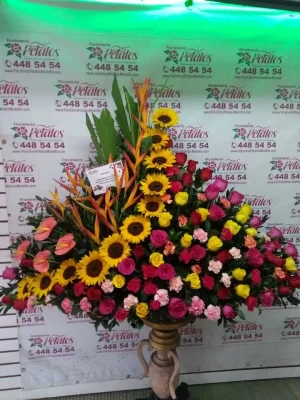 Floristeria-Envigado-Antioquia-las-casitas-cerca-de-mi- AMOR A PRIMERA VISTA.png