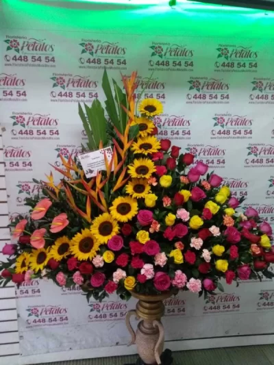 Floristeria-Envigado-Antioquia-las-casitas-cerca-de-mi- AMOR A PRIMERA VISTA.png