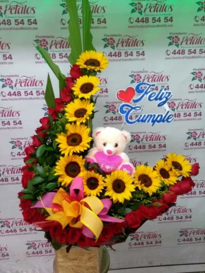 Floristeria-Envigado-Antioquia-primavera-cerca-de-mi- QUIERO CAMINAR A TU LADO.png