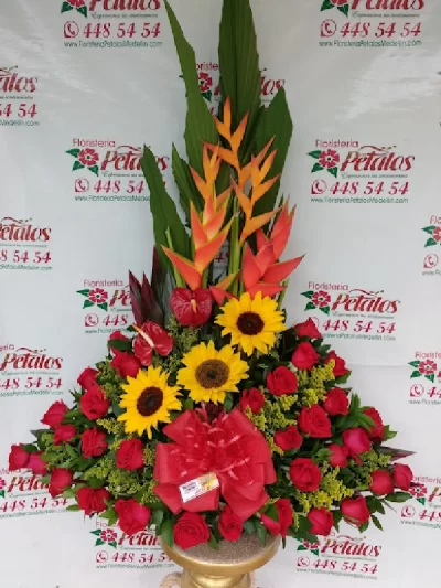 floristeria-envigado-antioquia-el-portal-de-la-calleja-cerca-de-mi-cielo-mio-020