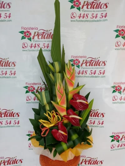 floristeria-envigado-antioquia-la-cuenca-cerca-de-mi-012
