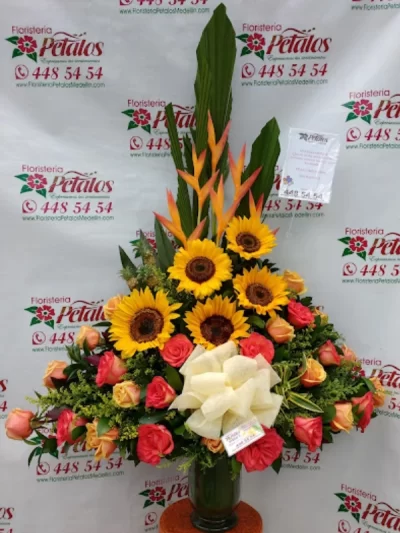 floristeria-envigado-antioquia-la-mina-cerca-de-mi-mi-mejor-coincidencia-030
