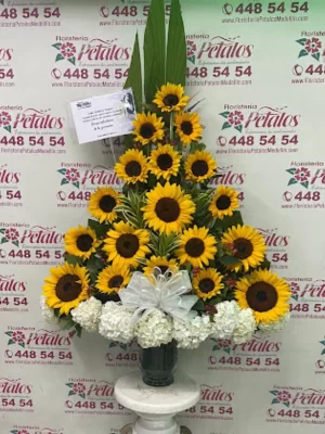 floristeria-envigado-antioquia-las-palmas-cerca-de-mi-139