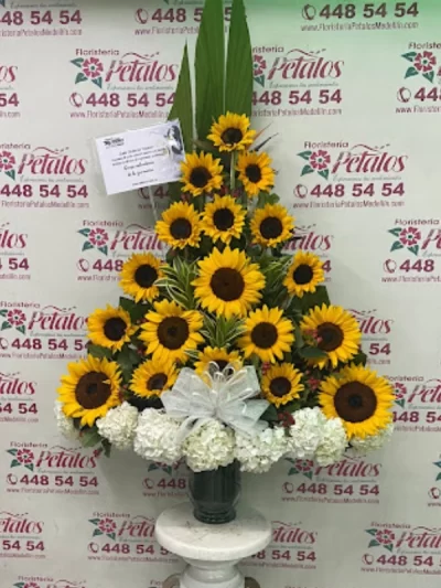 floristeria-envigado-antioquia-las-palmas-cerca-de-mi-139