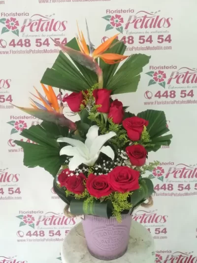 floristeria-envigado-antioquia-san-mateo-cerca-de-mi-TU PERFUME