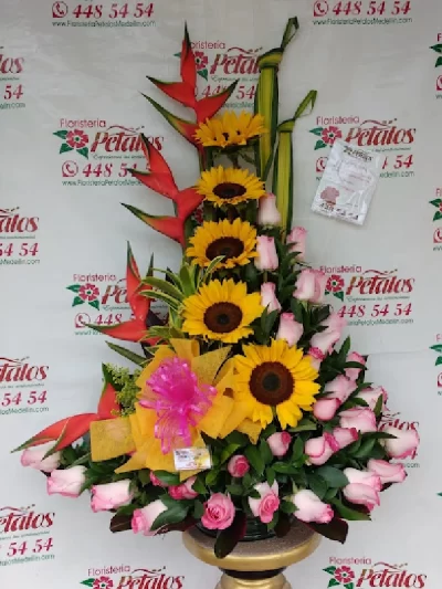 floristeria-envigado-antioquia-zuñiga-cerca-de-mi-021